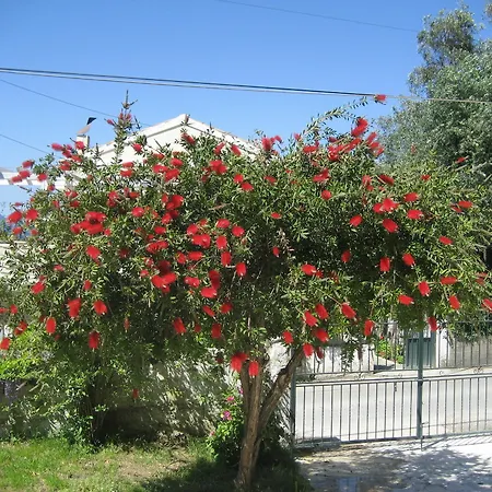 Maria Apartment Agia Pelagia Chlomou